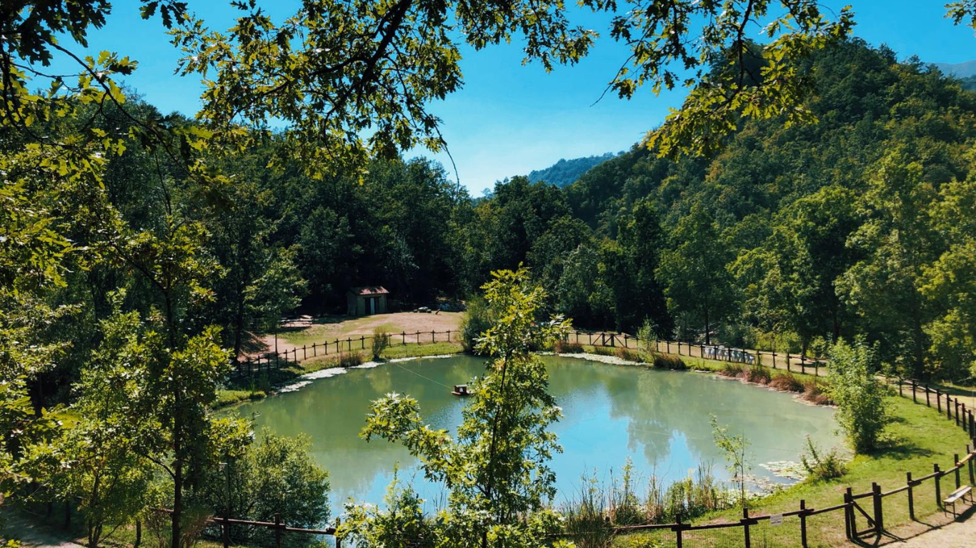 Meditazione camminata & Poesia all'Eco Park di Casteldelci 